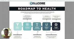Phases of Cell Core's Comprehensive Protocol