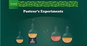 Pasteur's experiments, Microbiology #biology #pasteur #microbiology #louispasteur