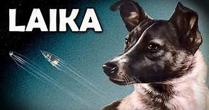 Laika: The Tragic Story of the First Dog in Space