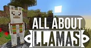 Llamas: Taming, Breeding & More - Minecraft