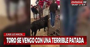 La venganza del toro que se hizo viral