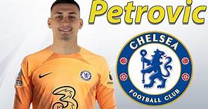 Djordje Petrovic ● Welcome to Chelsea 🔵🇷🇸 Best Saves