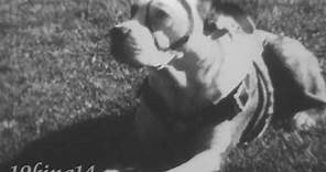 Petie rare Training film, Little Rascals' Pete the Pup, Our Gang