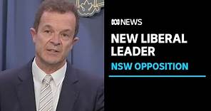 NSW Liberal Party elects Mark Speakman as new leader | ABC News