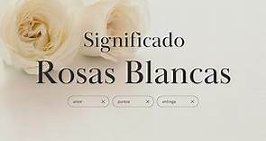 Rosas Blancas ¿Qué Significan? - Significado y Símbolos