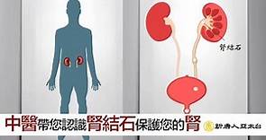 『腎』石傳說 中醫帶您認識『腎結石』保護您的腎 | 談古論今話中醫475