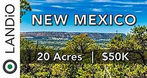 20 Acres LAND for SALE in New Mexico • LANDIO
