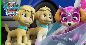 Skye Meets the Mighty Twins and MORE - PAW Patrol - Cartoons for Kids