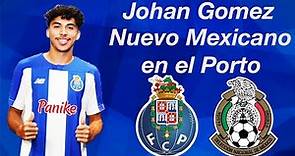 Johan Gomez, así juega el nuevo fichaje del Porto goles y jugadas 2019