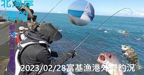 【北海岸海釣】北海岸富基漁港 春天季節釣況分享(Fuji Fishing Port of Taiwan’s Northern Coast) 2023/02/28