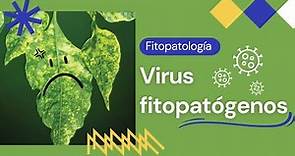 Virus fitopatógenos || Características || Enfermedades en plantas causadas por virus