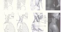 Eliot Goldfinger (Anatomy Artist) ~ Wiki & Bio with Photos | Videos