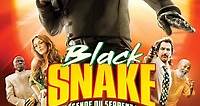 Black Snake, la Légende du serpent noir en streaming (2019) 📽️