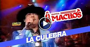 1994 - LA CULEBRA - Banda Machos con Raul Ortega - En Vivo -