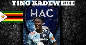 Tino Kadewere ● Goals & Assists ● 2019/2020 ●