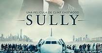 Sully - película: Ver online completa en español