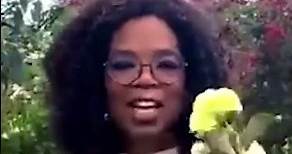 Oprah Winfrey Lifestyle | Net Worth, Fortune, Car Collection, Mansion
