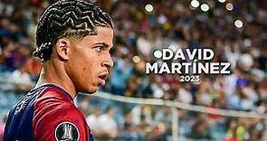 David Martínez Morales - The Future of Football 🇻🇪