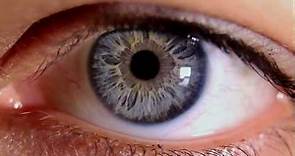 Macro Video of Human Eye & Iris
