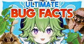 10 Minutes of Bug Facts