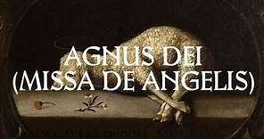 Agnus Dei - Catholic Latin Hymn