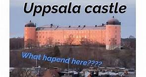 Uppsala castle and its fascinating history.