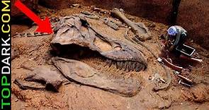 15 Descubrimientos de Fósiles de Dinosaurios más Increíbles | TOPDARK.COM