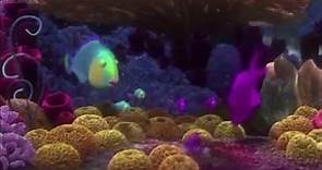 Finding Nemo Sponge Beds Meme
