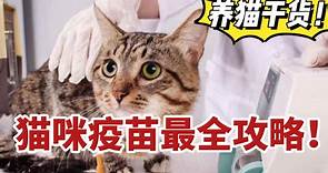 猫咪疫苗最全指南，猫三联、狂犬疫苗怎么打？要注意什么？