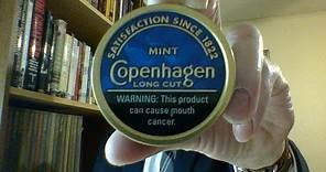 The Copenhagen LC Mint Review