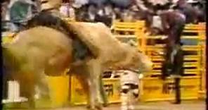 World's Most Dangerous Rodeo Bull- Bodacious