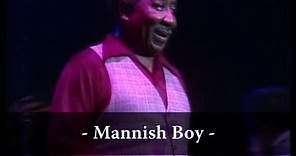 Muddy Waters - Mannish Boy (Live At Rockpalast)