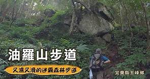 【油羅山步道】步道上了油? 又陡又滑的油羅山