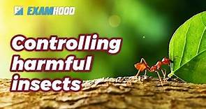 Methods of Controlling Harmful insects in Agriculture