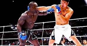 Melvin Manhoef | Top Knockouts, HD