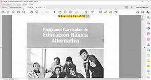 RVM 034-2019-MINEDU Programa Curricular Educación Básica Alternativa Inicial Intermedio Avanzado