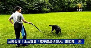 台美合作！全台首隻「電子產品偵測犬」來助陣 - 新唐人亞太電視台