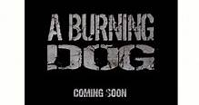 Burning Dog (Cine.com)