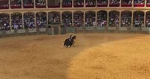 Bullfighting (No Gore) - Ronda - 2/9/18