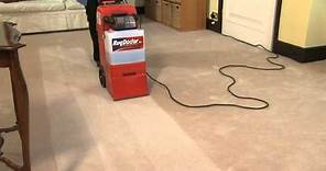 Rug Doctor Carpet Cleaning