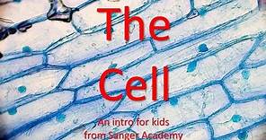 The Cell - an intro for kids - Sanger Academy
