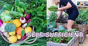 10 Ways to Become More SELF-SUFFICIENT Right NOW!