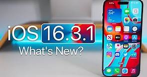 iOS 16.3.1 is Out! - What's New?