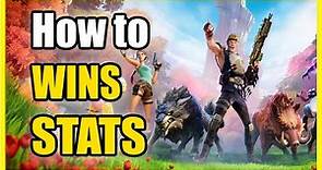 How to See your STATS, WINS & Leaderboards in Fortnite (Easy Tutorial)