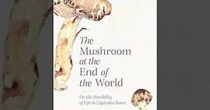 The Mushroom At The End Of The World