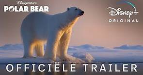 Polar Bear | Officiële Trailer | Disney+