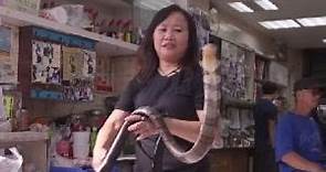 息影多年的香港“蛇女王”周嘉玲表演蛇舞 敲擊蛇頭與蛇親吻