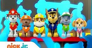 Paw Patrol Latinoamérica | Canción Oficial (Canción) | Nick Jr.