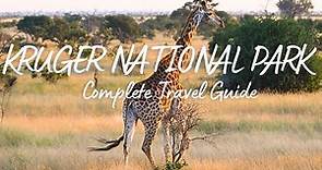 Complete Travel Guide Kruger National Park - a guide to explore the famous park in South Africa