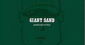 Giant Sand – Goods And Services (2011, Vinyl)